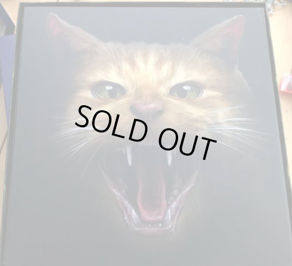 画像3: Alien：Fate of the Nostromo　フルカラー和訳ルール＆フルカラー和訳シール付 (3)